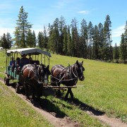 DSCN1433.jpg