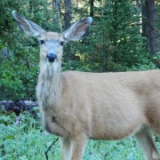 DSCN1479.jpg