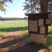 DSCN1736.jpg