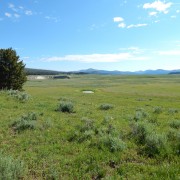 DSCN1763.jpg