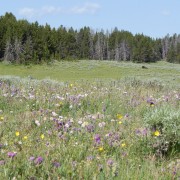 DSCN1775.jpg