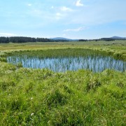 DSCN1791.jpg