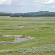 DSCN1808.jpg