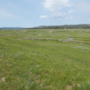 DSCN1833.jpg