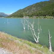 DSCN2061.jpg