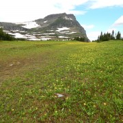 DSCN2238.jpg