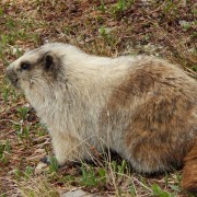 DSCN2245.jpg