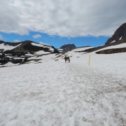 DSCN2250.jpg