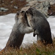 DSCN2264.jpg