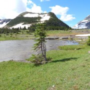 DSCN2265.jpg