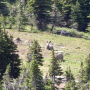 DSCN2275.jpg