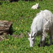 DSCN2287.jpg
