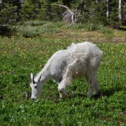 DSCN2296.jpg