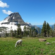 DSCN2299.jpg