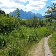 DSCN2354.jpg