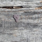 DSCN2364.jpg