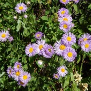 DSCN2372.jpg
