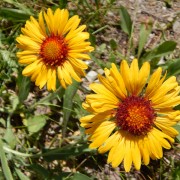 DSCN2374.jpg