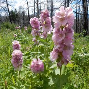 DSCN2392.jpg