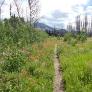 DSCN2418.jpg