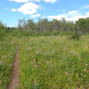 DSCN2430.jpg