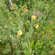 DSCN2436.jpg