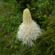 DSCN2491.jpg