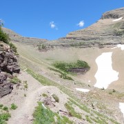 DSCN2617.jpg