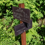DSCN2697.jpg