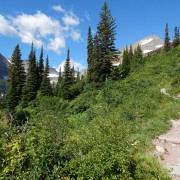 DSCN2702.jpg