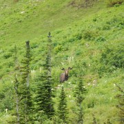 DSCN2720.jpg
