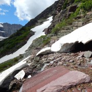 DSCN2737.jpg