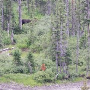 DSCN2753.jpg
