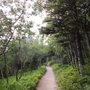 DSCN2778.jpg