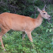 DSCN2801.jpg