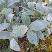 DSCN3028.jpg