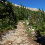 DSCN3038.jpg