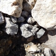 DSCN3059.jpg