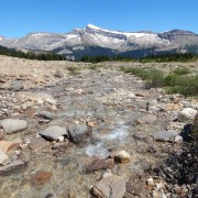 DSCN3132.jpg