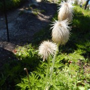 DSCN3140.jpg