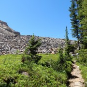 DSCN3152.jpg
