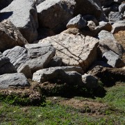 DSCN3154.jpg