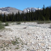 DSCN3158.jpg
