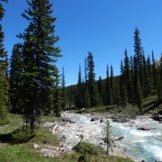 DSCN3163.jpg