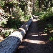 DSCN3167.jpg