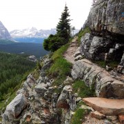DSCN3248.jpg