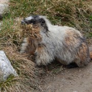 DSCN3264.jpg