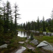 DSCN3281.jpg