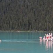 DSCN3370.jpg