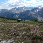 DSCN3411.jpg